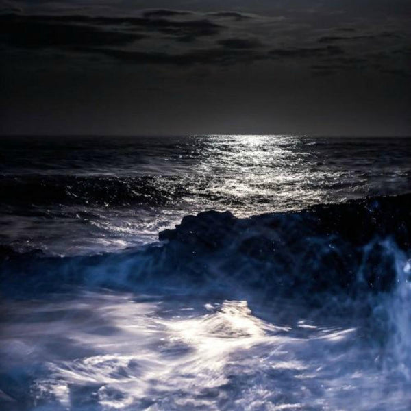 Midnight Surf