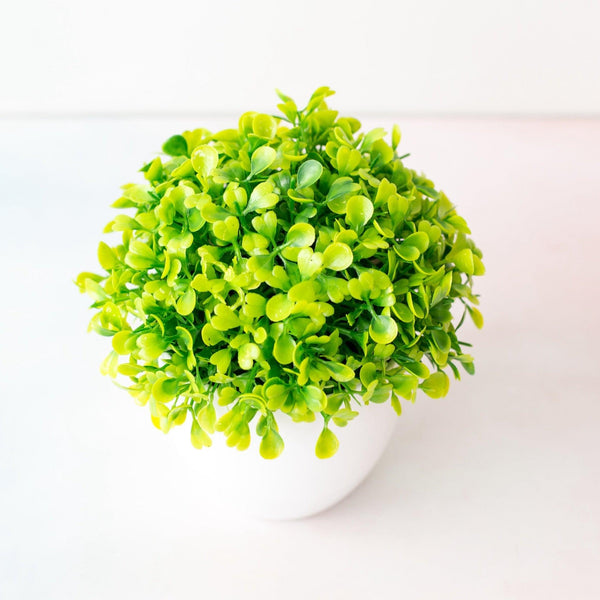 Mini Cute Artificial Bonsai Potted Plastic 15x16cm Friend's Gift Fake Decor  with Plastic Pots Fake Flowers Arrangements for Home Decoration