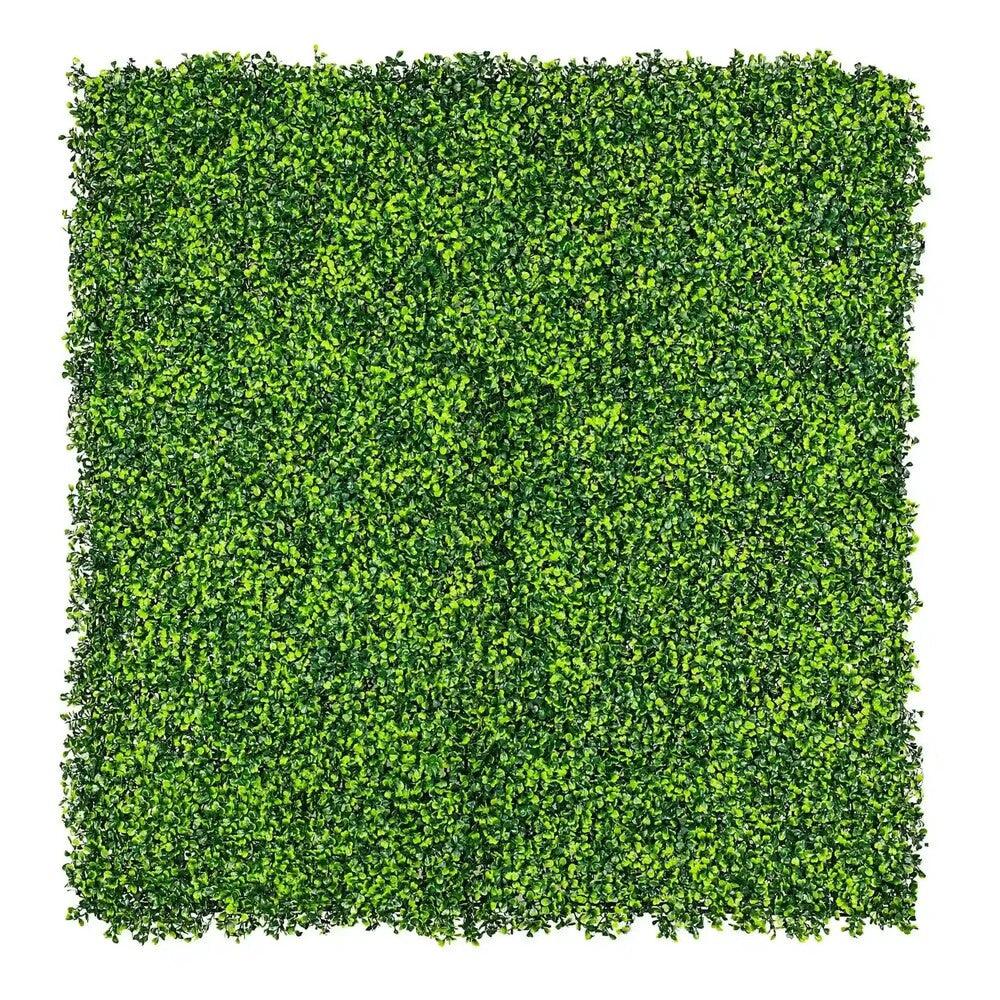 Sample Panel – Mixed Boxwood Green Wall (Small Sample)