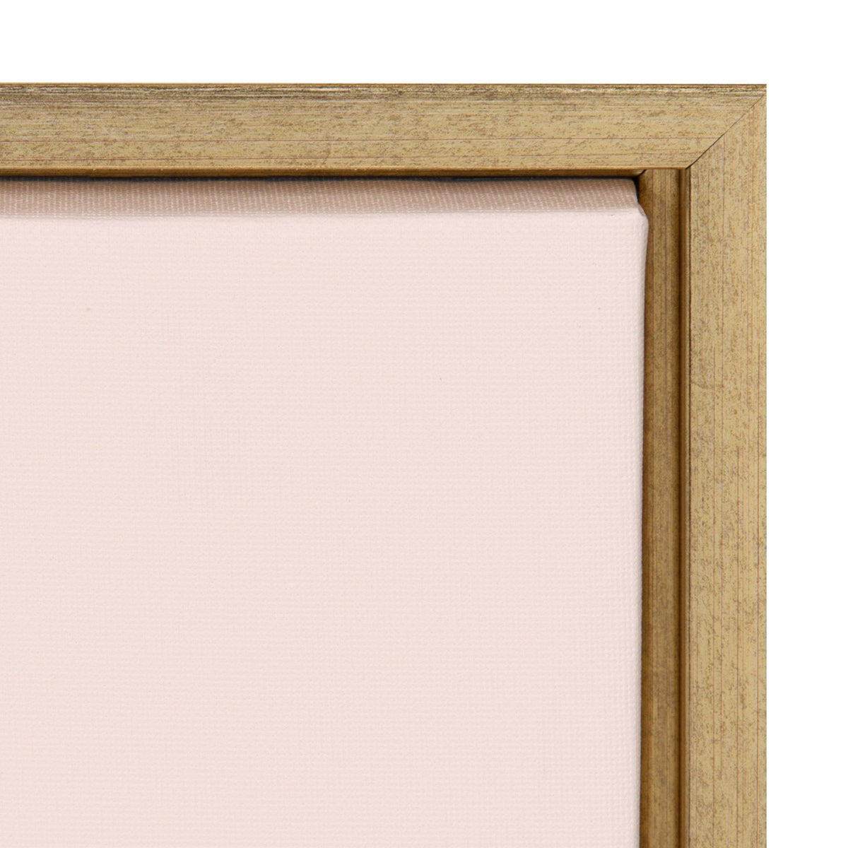 Sylvie Flamingo Watermelon Framed Canvas By Kendra Dandy
