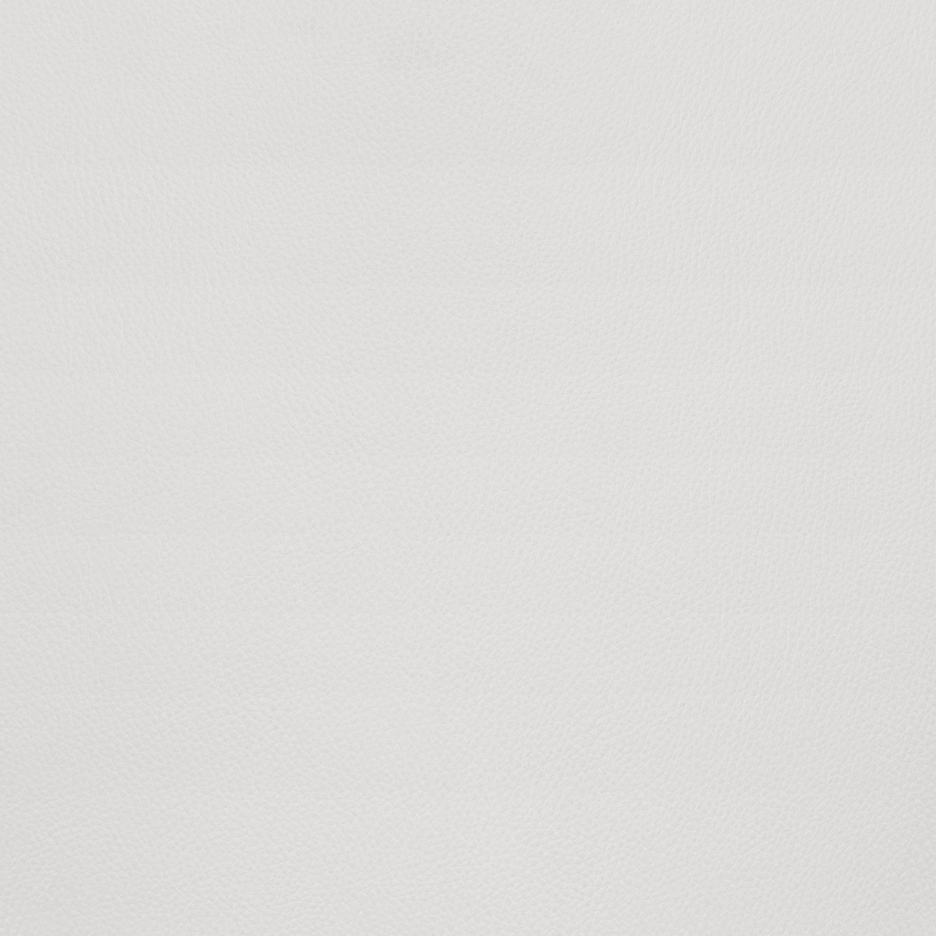 Torlo Dining Chair (Set of 2) White