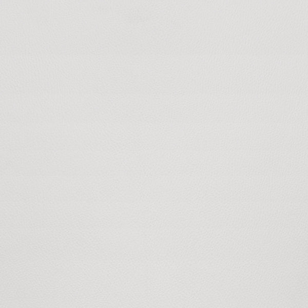 Torlo Dining Chair (Set of 2) White