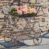Two Tier Iron Flower Push Cart 