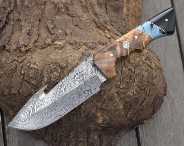 Morph Gut Hook Hunting Knife with Exotic Olive Wood & Turquoise Handle - Gifts for You 'n Me
