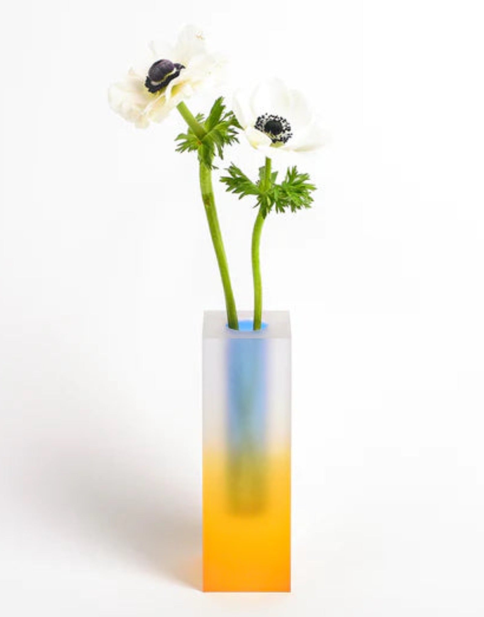 Iridescence Vase - Modern Whimsical Eclectic Decorative Table Setting Centerpiece Vase