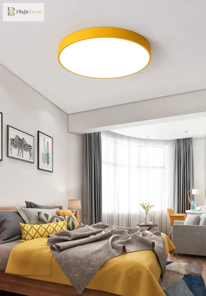Multicolor Ceiling Light | Modern Interior Home Lighting