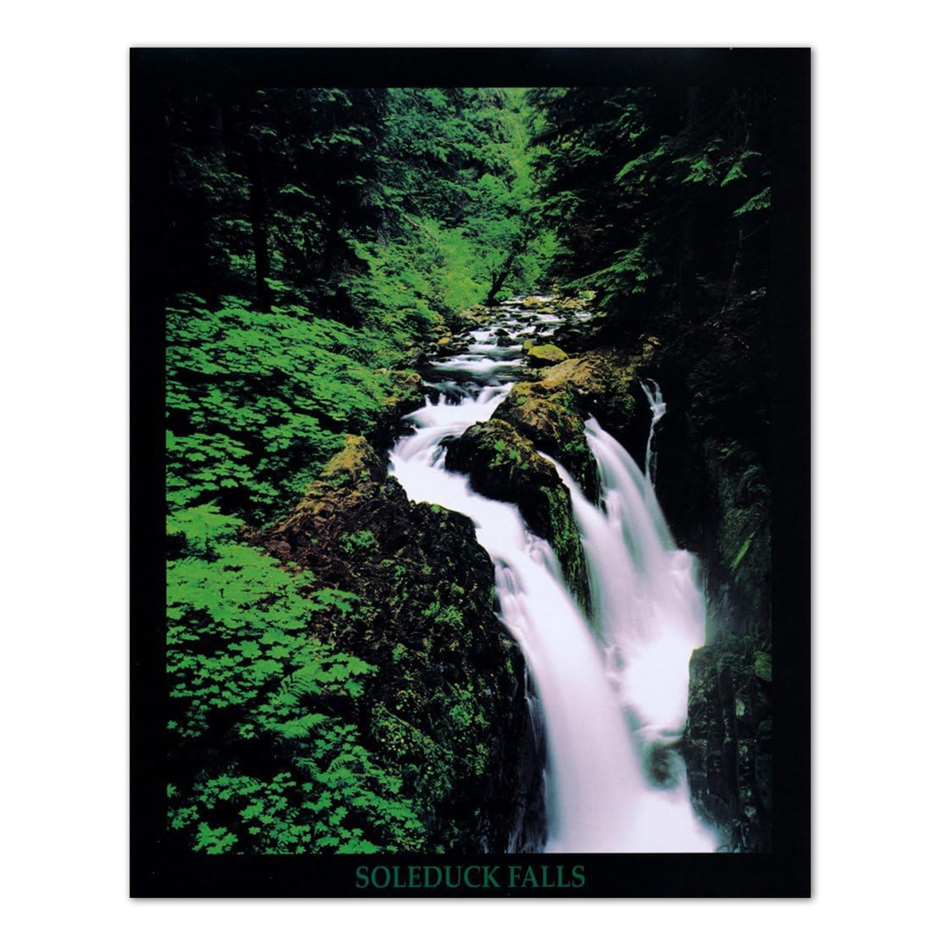 Olympic National Park Art - Waterfall Photo Print 8x10 High Quality Lithograph