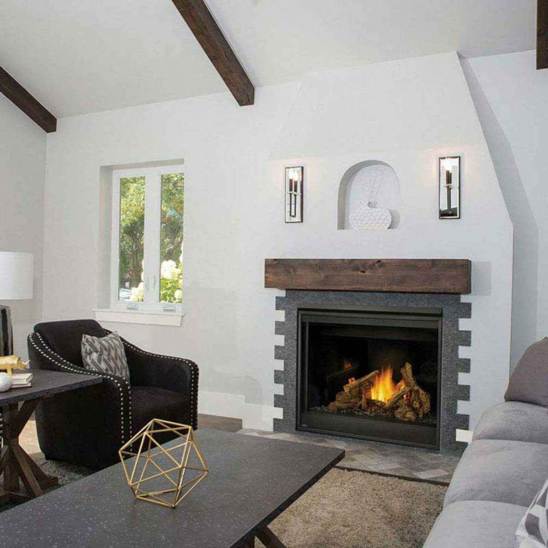 Napoleon Ascent 42 Direct Vent Millivolt Ignition Propane Gas Fireplace [B42N/PTR] (SAK91456)