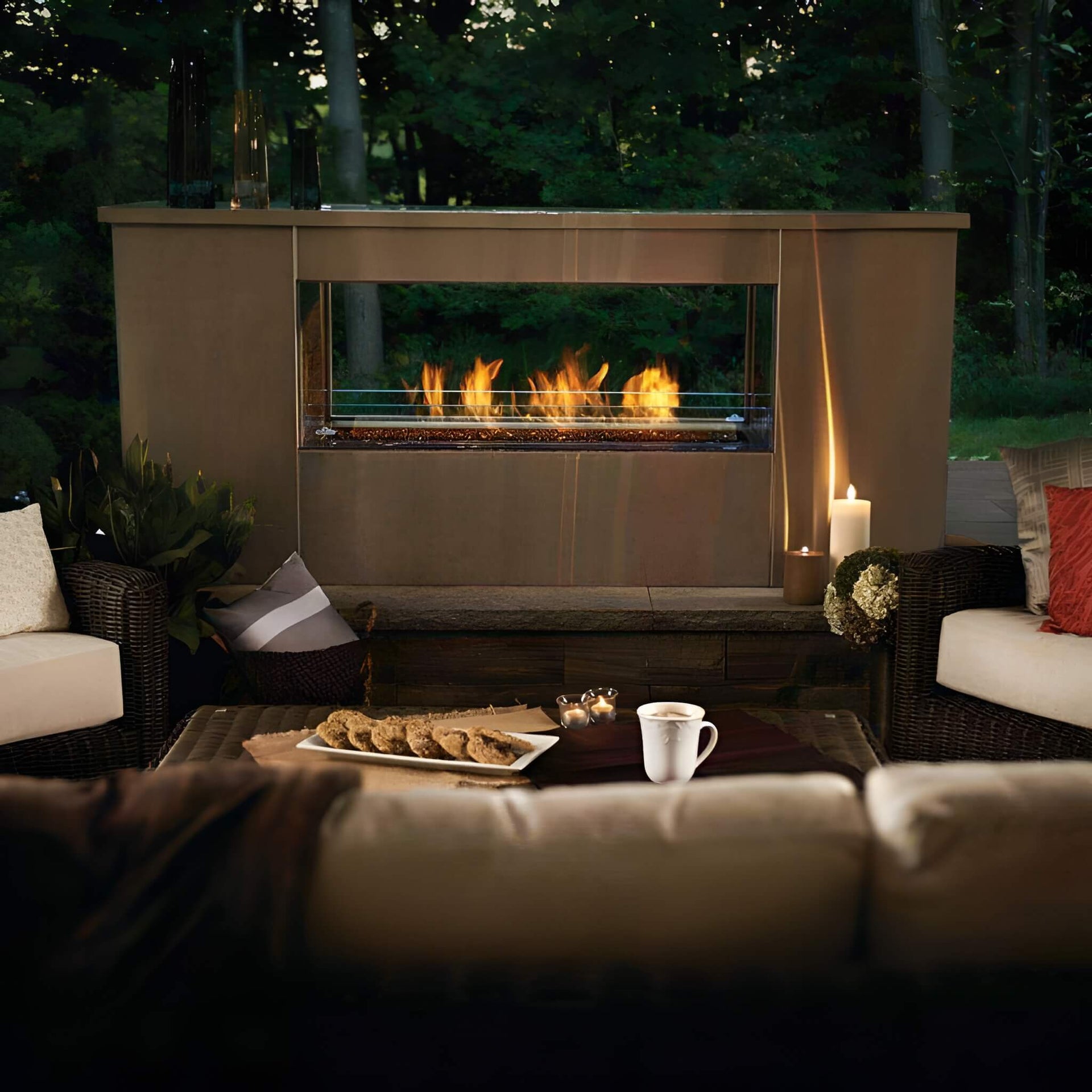 Napoleon Galaxy 48 50-Inch Outdoor Linear See-Thru Electronic Start Natural Gas Fireplace [GSS48STE] (SAK67432)