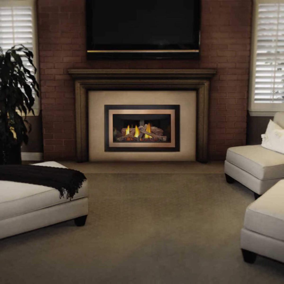 Napoleon Inspiration ZC 36-Inch Direct Vent Millivolt Ignition Natural Gas Fireplace Insert [GDIZC-NSB] (SAK58347)