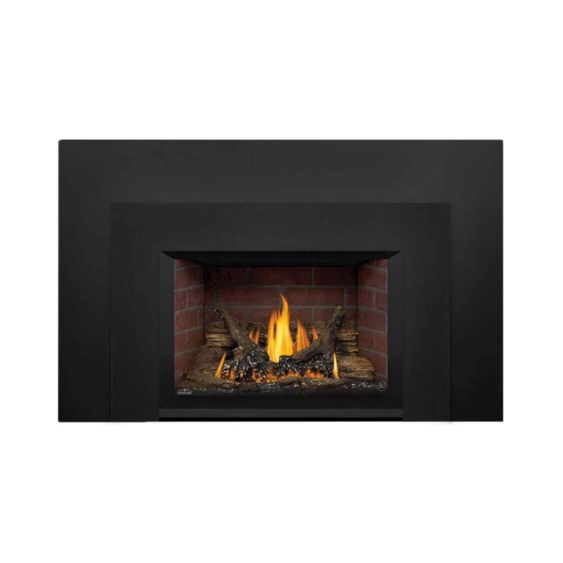Napoleon Oakville 3 28-Inch Direct Vent Natural Gas Fireplace Insert [GDI3N-1] (SAK25498)