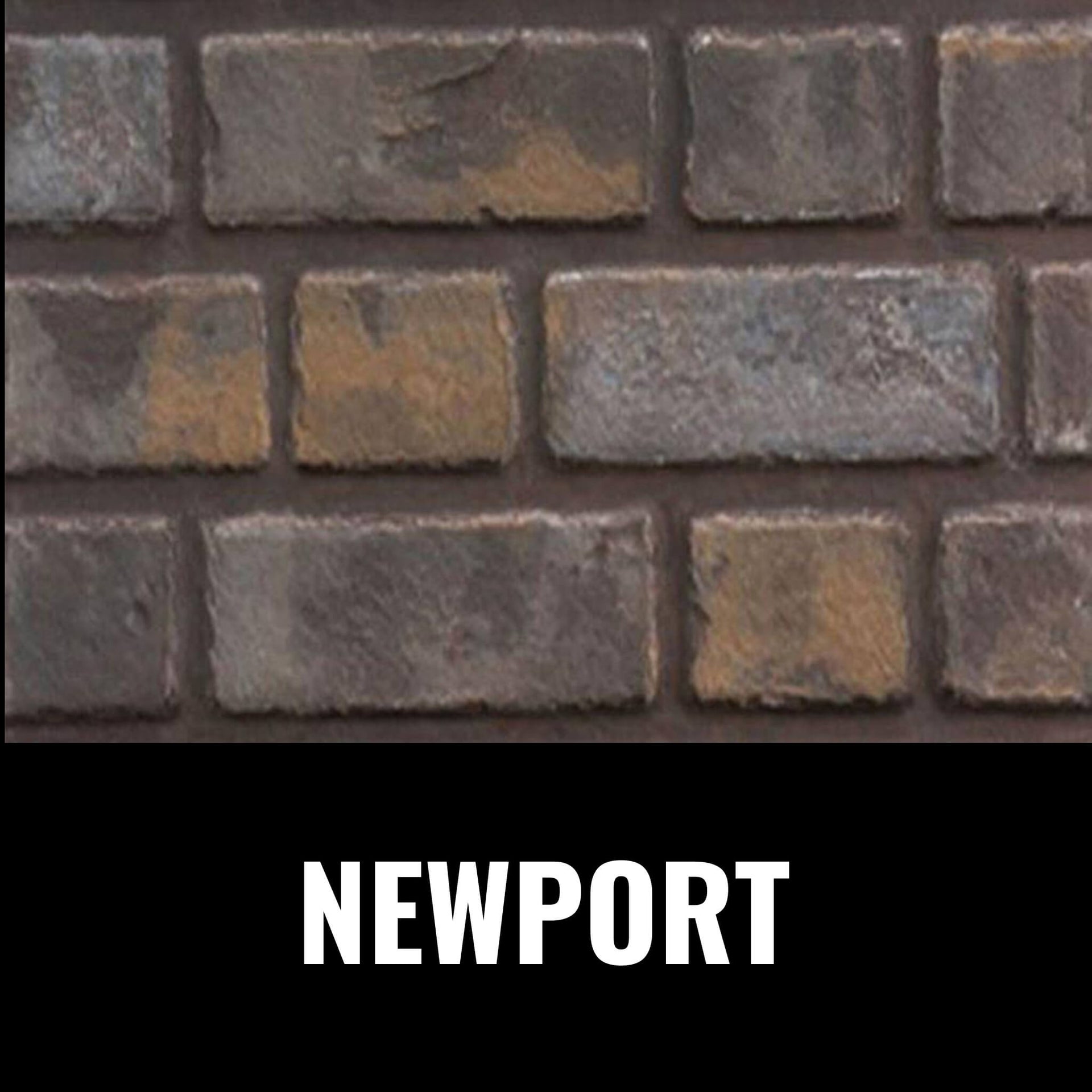 Napoleon Oakville 3 28-Inch Direct Vent Natural Gas Fireplace Insert [GDI3N-1] (SAK25498)