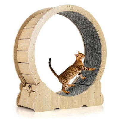 40 Inch Large Cat Exercise Wheel with Lockable Mechanism and Carpeted Runaway for Indoor Cats-Natural