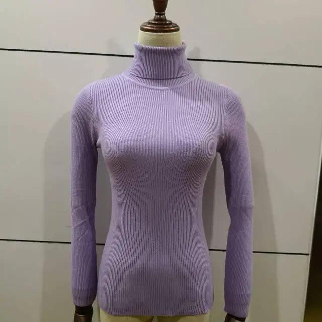 New Elegance Autumn/Winter Knitted Jumper Tops Turtleneck Pullovers Casual Sweaters Women Shirt Long Sleeve Tight Sweater Girls