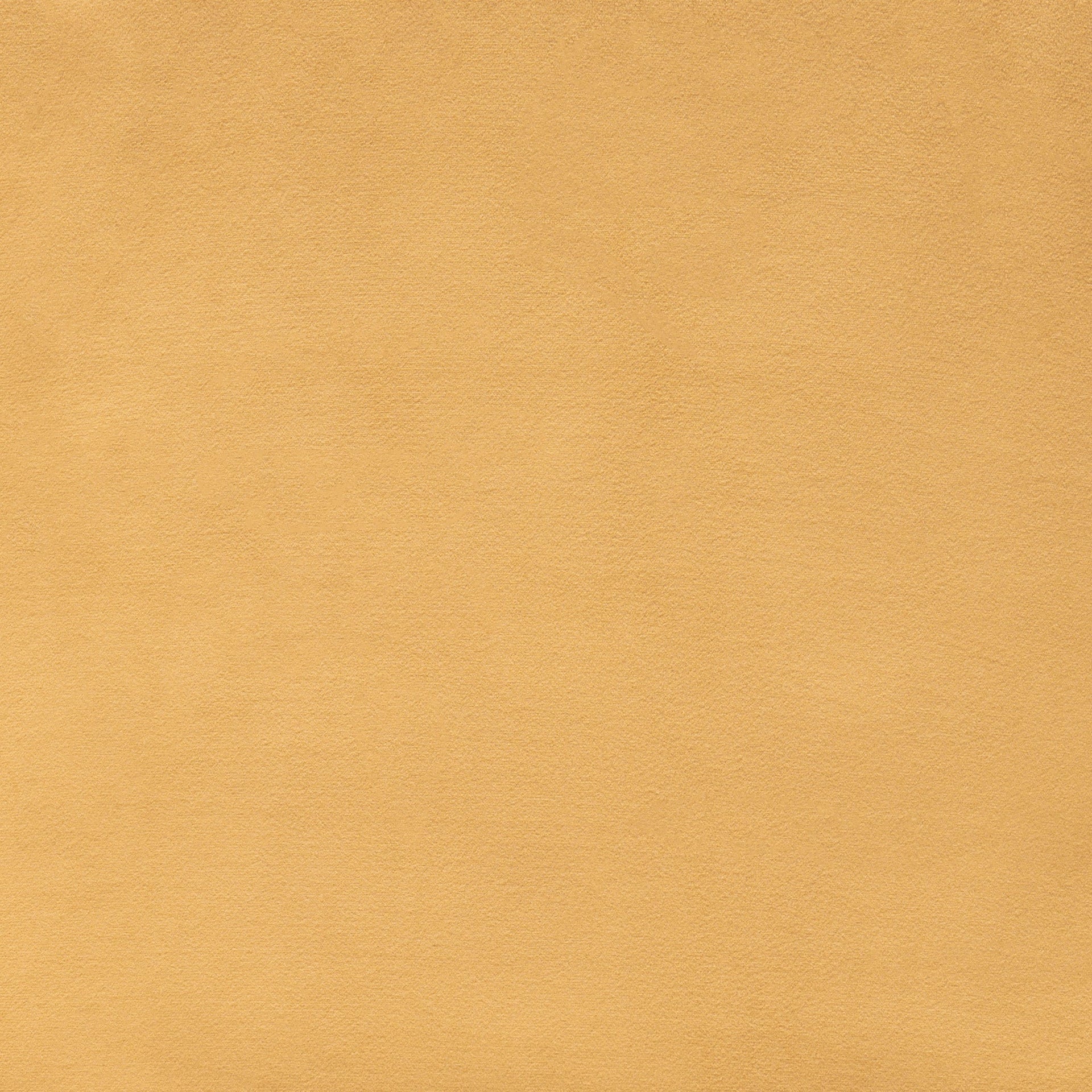 Tammy Dining Chair (Set of 2) Yellow