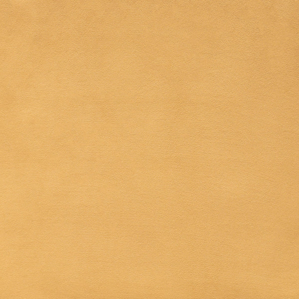 Tammy Dining Chair (Set of 2) Yellow