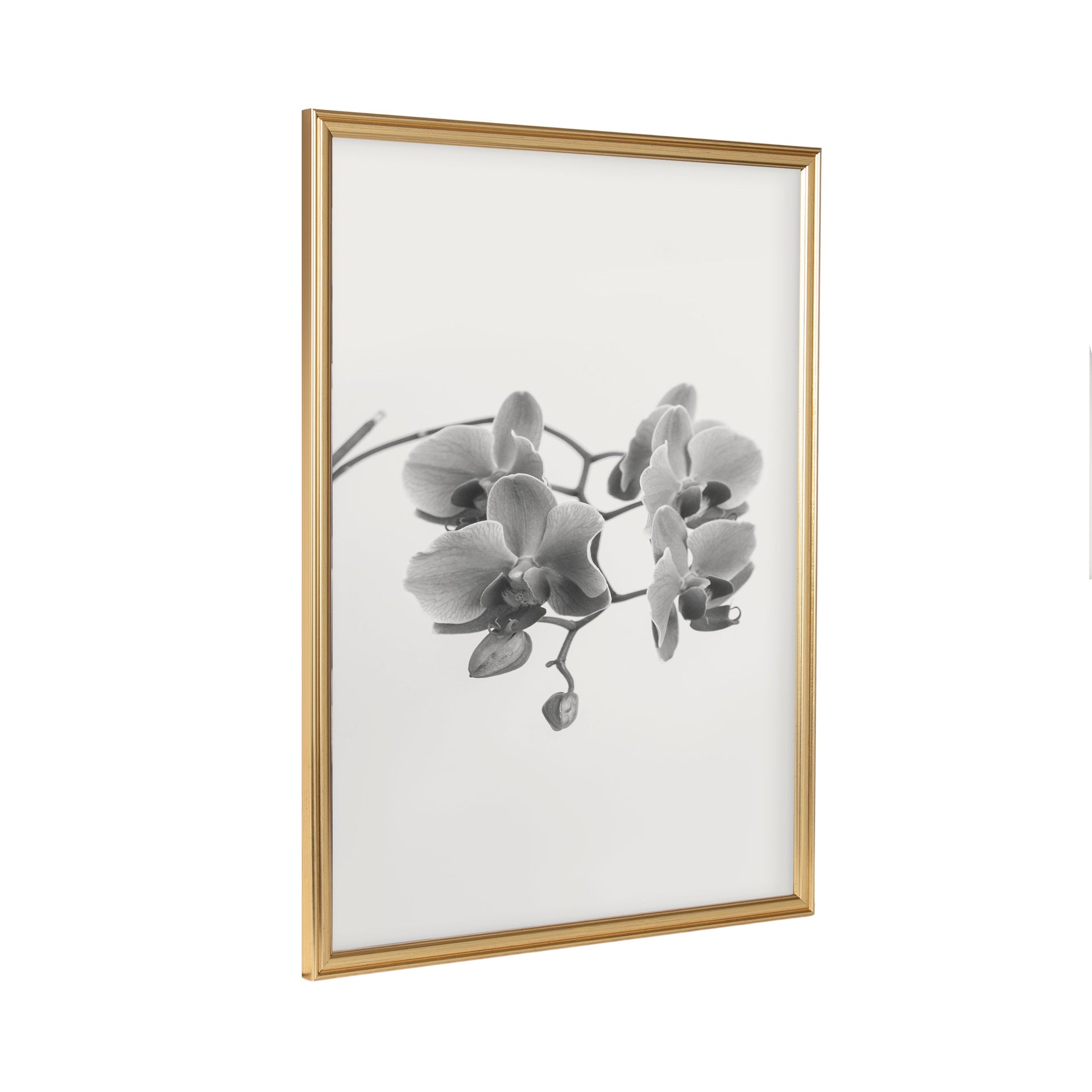 Adlynn Photo Frame Set