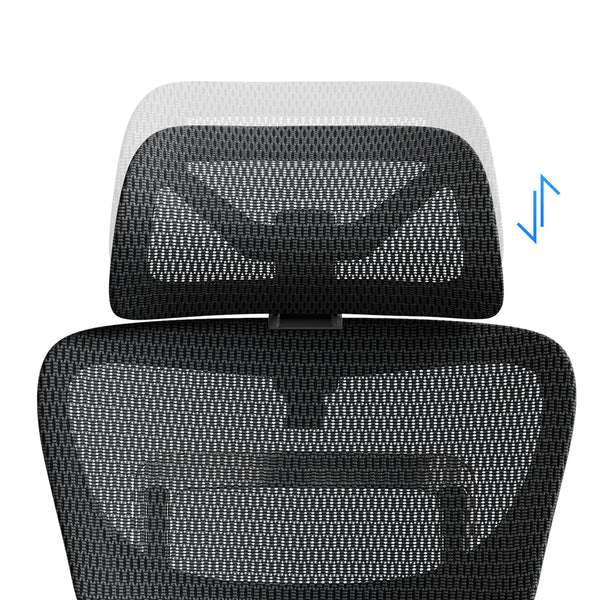 OdinLake O1 (Ergo PLUS 743) | Flex Mesh Ergonomic Chair