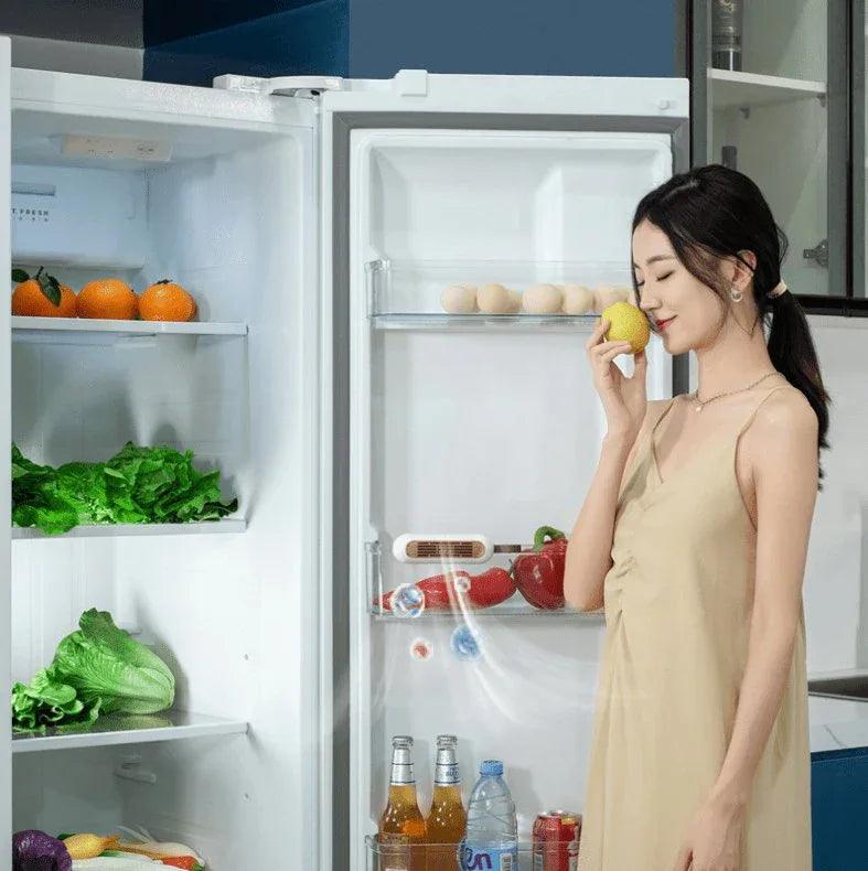 Odor Eliminator, Sterilizer, and Refrigerator Freshness Preserver - Gifts for You 'n Me