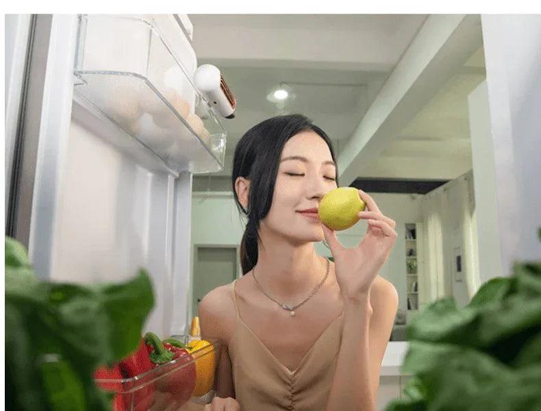 Odor Eliminator, Sterilizer, and Refrigerator Freshness Preserver - Gifts for You 'n Me