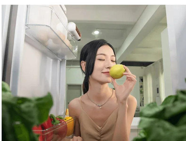 Odor Eliminator, Sterilizer, and Refrigerator Freshness Preserver - Gifts for You 'n Me