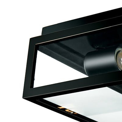 Capture 12'' Wide 2-Light Outdoor Flush Mount - Matte Black