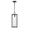 Augusta 7'' Wide 1-Light Outdoor Pendant - Matte Black