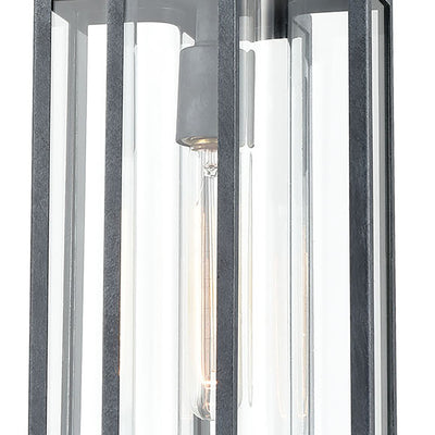 Bianca 8'' Wide 1-Light Outdoor Pendant - Aged Zinc