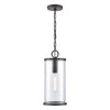 Hopkins 7.25'' Wide 1-Light Outdoor Pendant- Charcoal Black