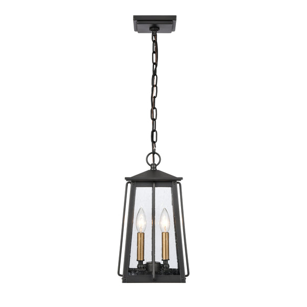 Kirkdale 9'' Wide 2-Light Outdoor Pendant - Matte Black