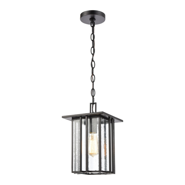 Radnor 8'' Wide 1-Light Outdoor Pendant - Matte Black