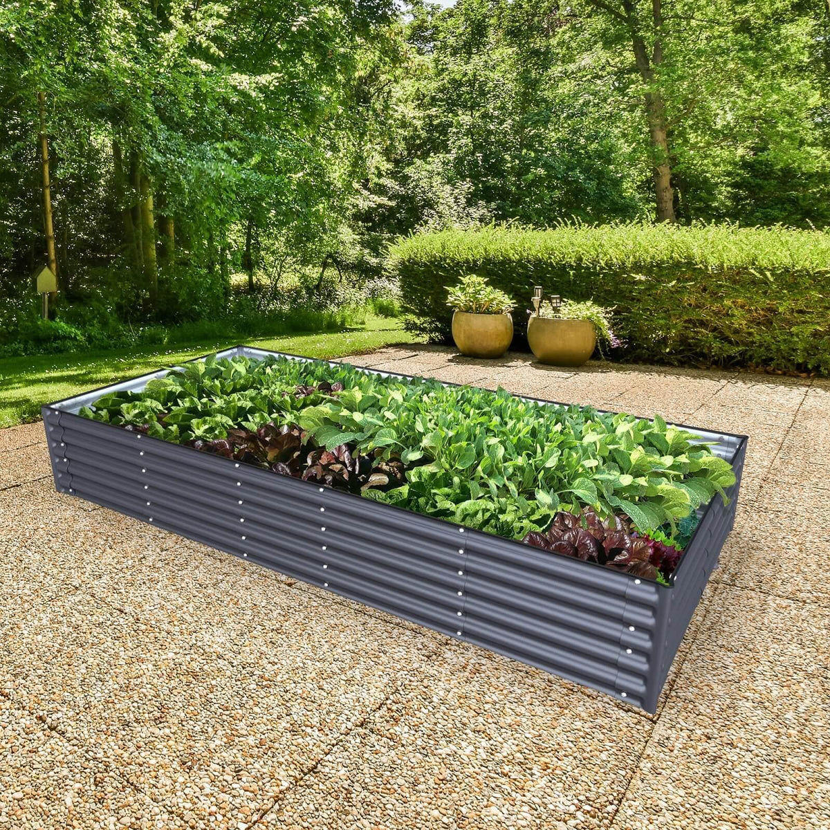 Olle Gardens 17