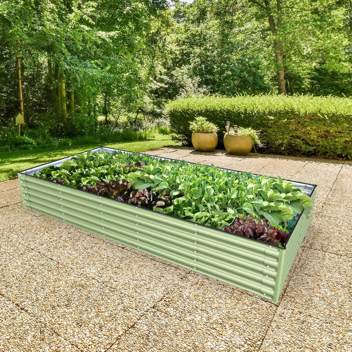 Olle Gardens 17
