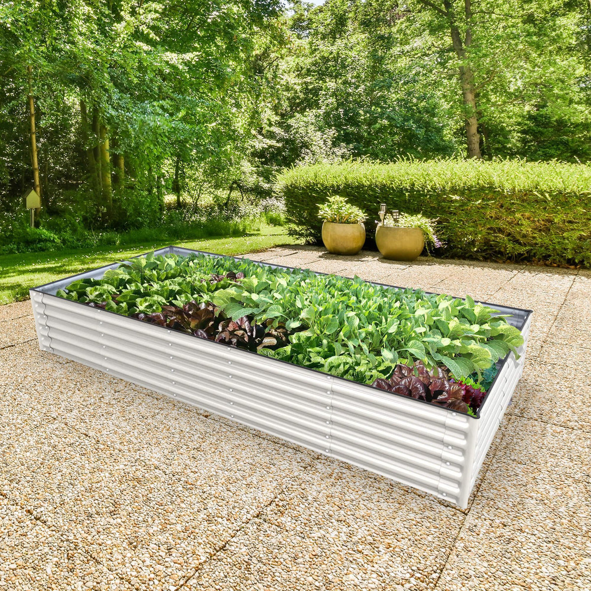Olle Gardens 17