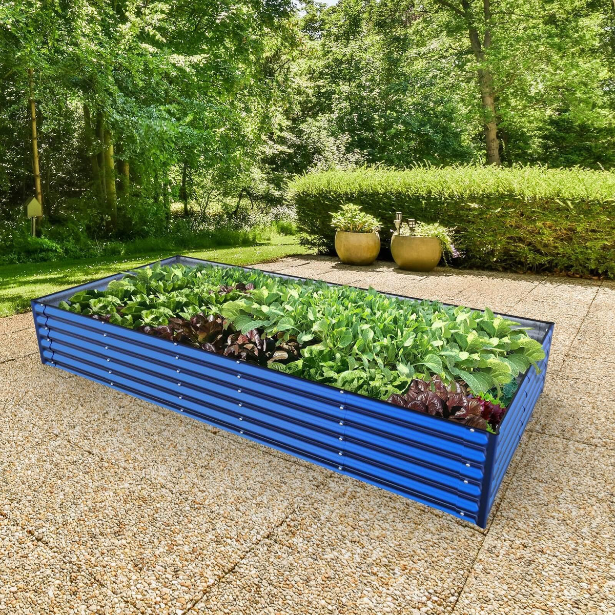 Olle Gardens 17
