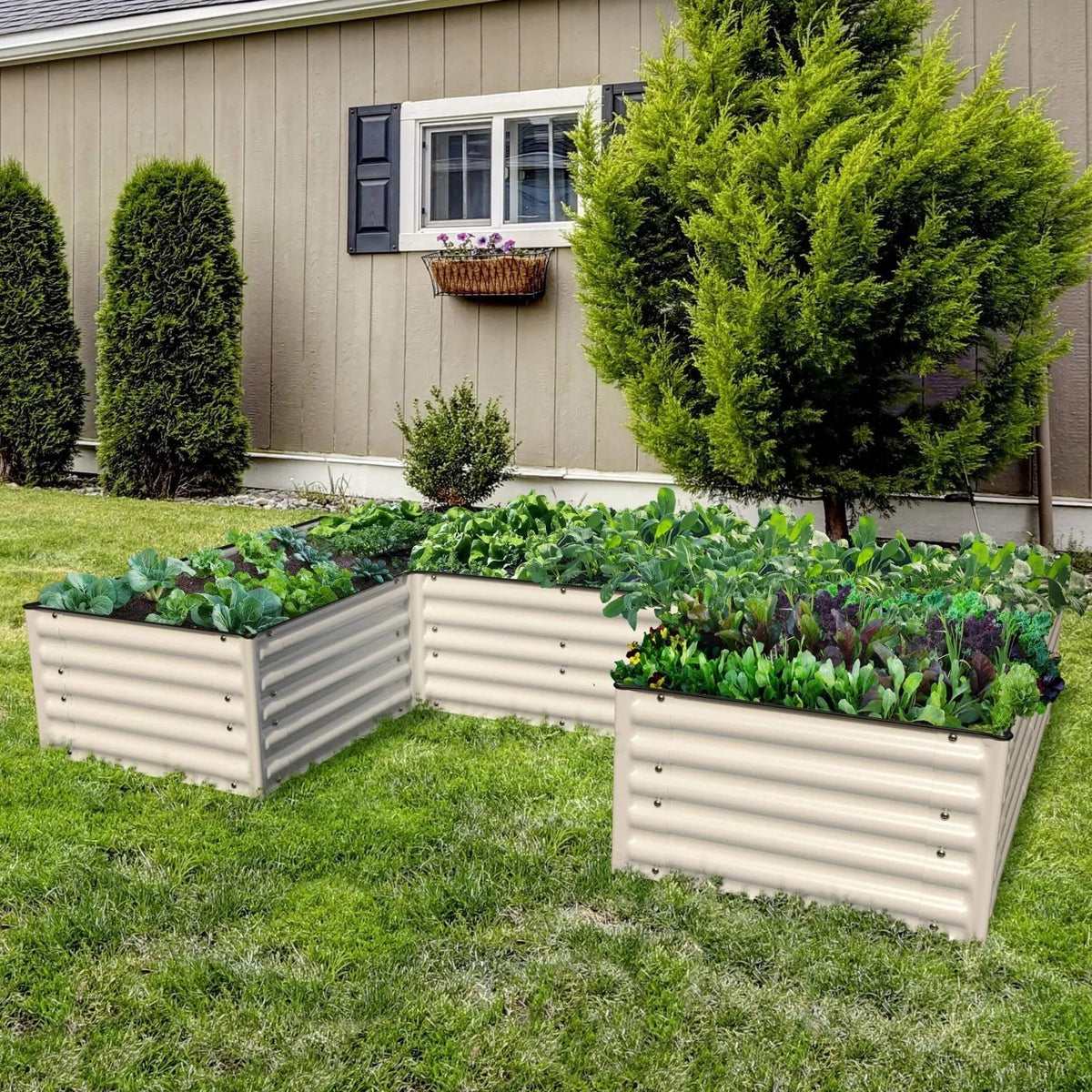 Olle Gardens 17