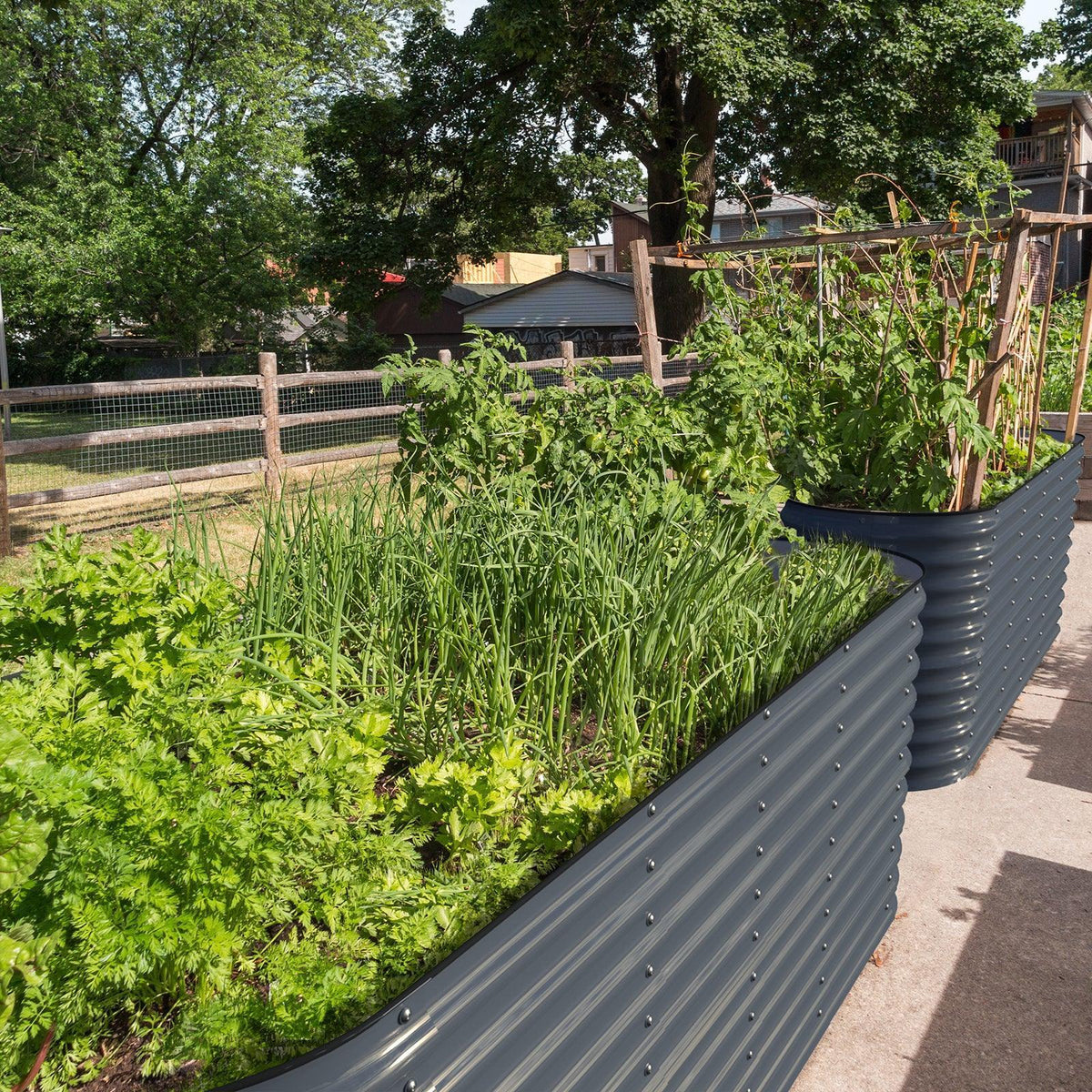 Olle Gardens 32