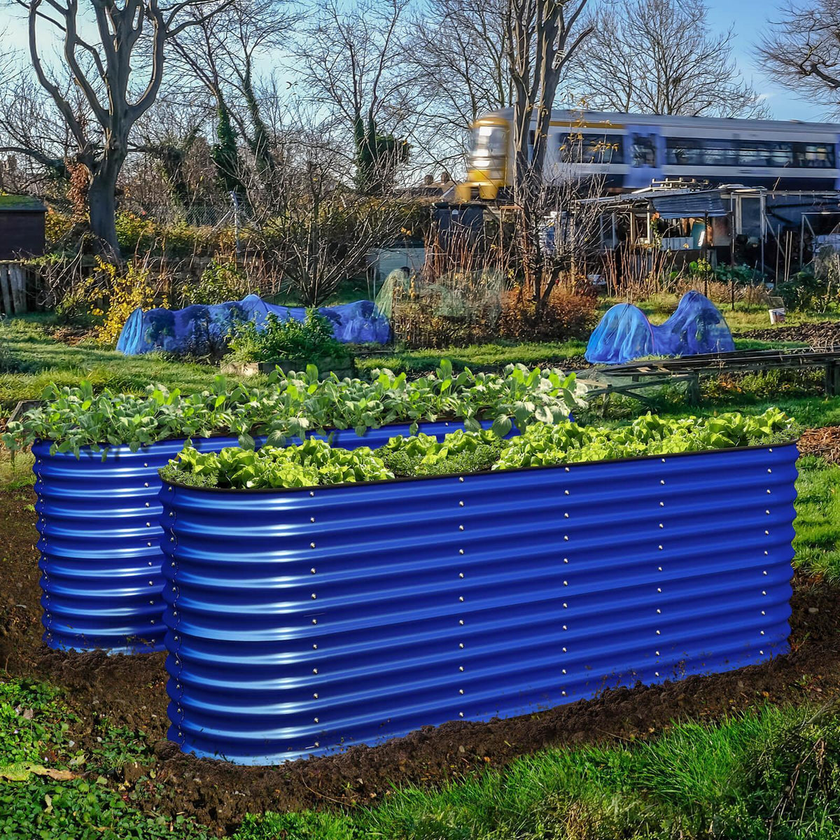 Olle Gardens 32
