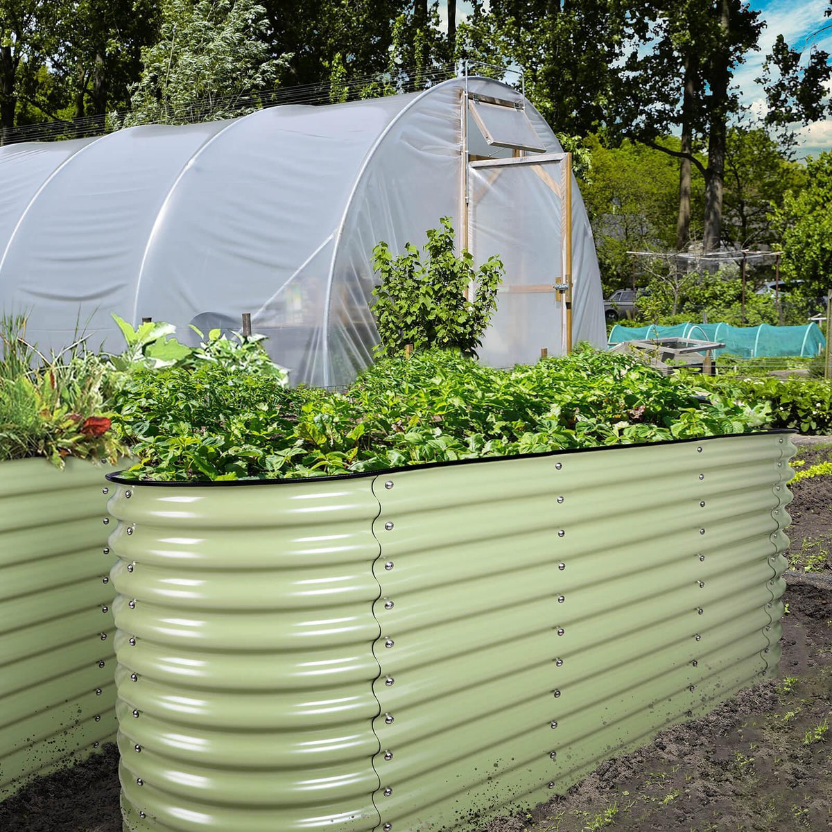 Olle Gardens 32