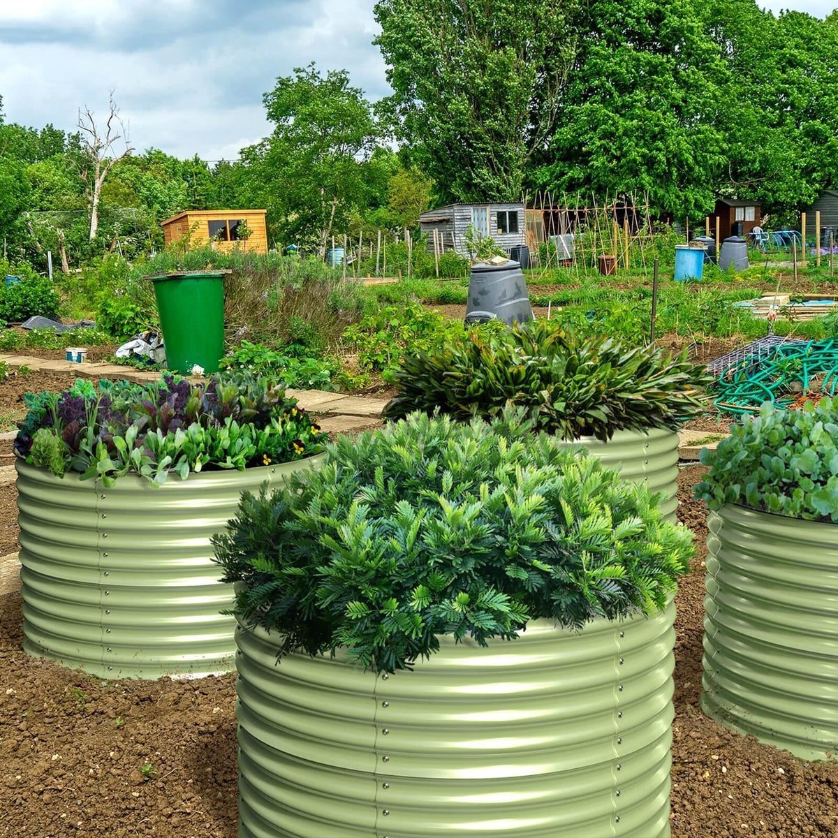 Olle Gardens 32