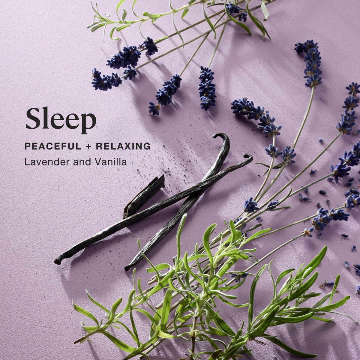 Sprig by Kohler Sleep Aromatherapy Candle with Lavender and Vanilla - 8 oz
