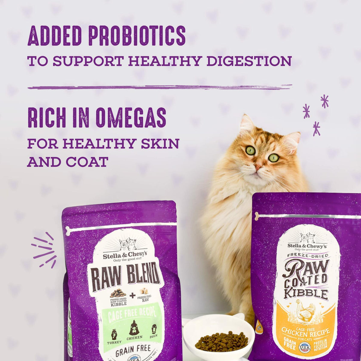 BB01/25 Stella & Chewy's Raw Blend Cat Food 2.5 lb Grain Free Protein Rich Poultry