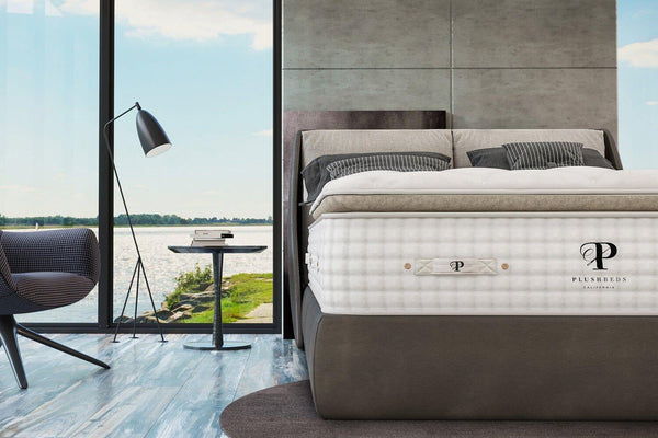 Organic Mattress - The Organic Bliss Pillowtop - Gifts for You 'n Me