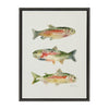 Sylvie Rainbow Trout Framed Canvas by Cathy Zhang - Gray / 18x24
