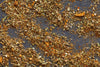 Pacific Seafood - Small - Tin