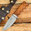 Paladin Damascus Knife with Exotic Rosewood Handle & Sheath