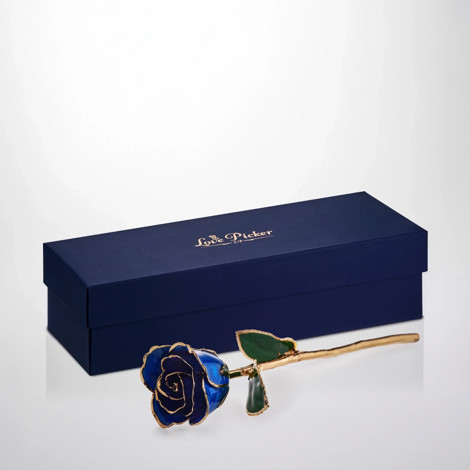 Gold Dipped Rose 11.5