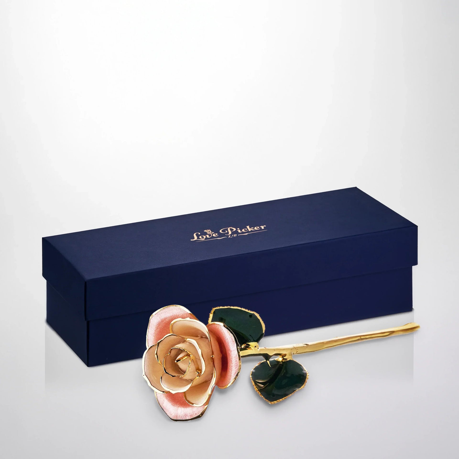 Gold Dipped Rose 11.5
