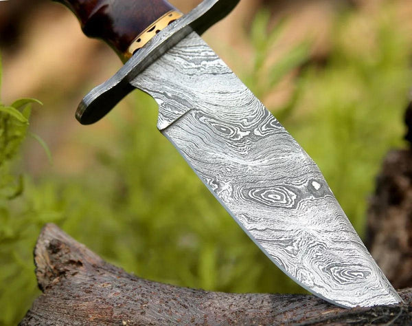 Paragon Damascus Bowie Knife with Exotic Rosewood Handle - Gifts for You 'n Me