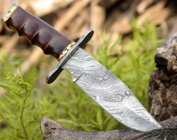 Paragon Damascus Bowie Knife with Exotic Rosewood Handle - Gifts for You 'n Me
